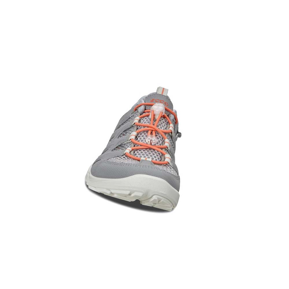 Women's Ecco Terracruise Lt Outdoor Hiking & Trail Silver / Grey | USA 149ZUT